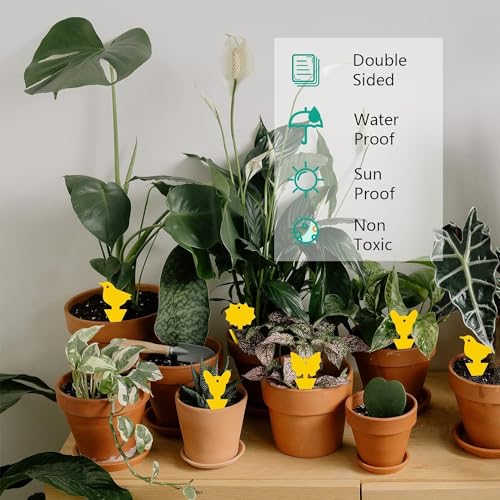 Gelbsticker Trauermücken 36 Stück Fliegenfalle, Gelbtafeln Fruchtfliegenfalle klebefalle Insektenfalle für die Zimmerpflanzen Schädlingsbekämpfung - Afbeelding 6