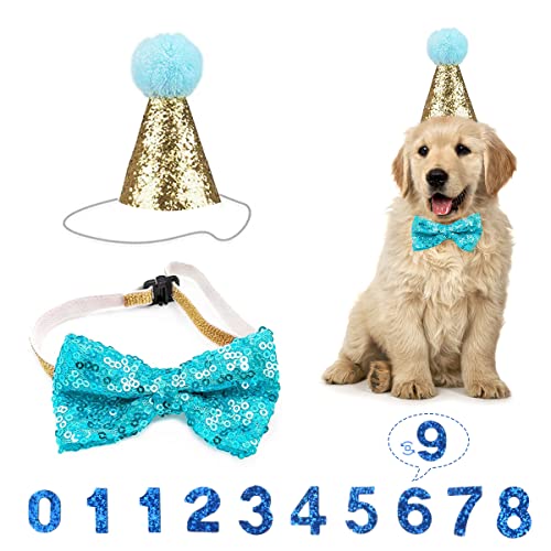 Dog Birthday Hat Reusable Dog Cat Party Hat with Bow Tie Collar and Blue Number for Pet Puppy Cat Birthday Party Decorations Pet Costumes Headwear Accessories (Blue)