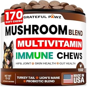 Turkey Tail Mushroom Supplement for Dogs – 170 Chews – Mushrooms for Dogs – Reishi, Lion’s Mane, Glucosamine Multivitamin – Immune Booster, Gut, Hip & Joint Health Support Vitamins, Energy & Skin
