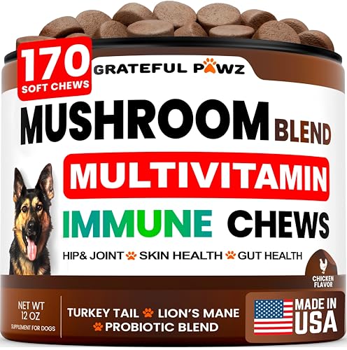 Turkey Tail Mushroom Chews