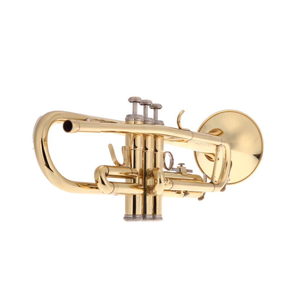 Andoer Trompette en Si bémol en laiton avec embouchure et gants