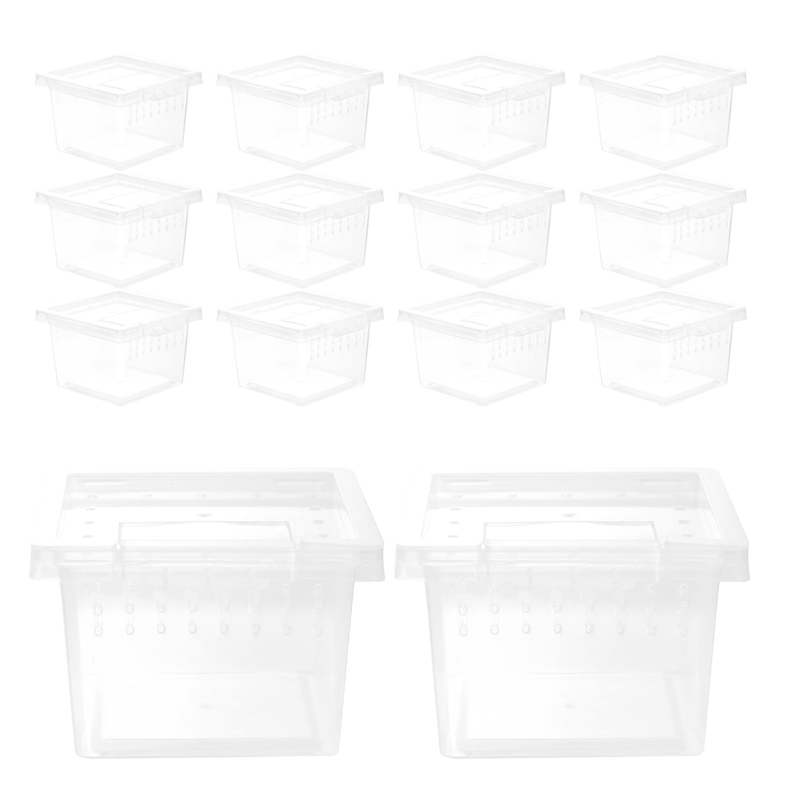 Terrarium pour reptiles plastique avec plateforme portable intégrée