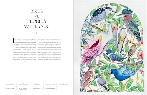 Image of The Illuminated Book of Birds