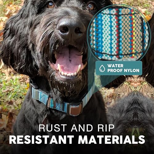 Durable Nylon Dog Collars For Large Dogs Reviews