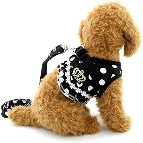 Brother cat Dog Puppy Cat Small Girl Dog Dots Vest Harness Leash Set Mesh Padded No Pull Lead Black S
