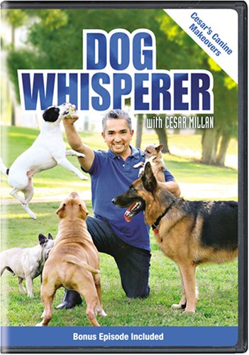 Dog Trainer Cesar Millan Possessive Dog Dog Psychology Cesar