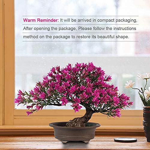 Yoerm Fake Plants Artificial Bonsai Tree For Office Wall Book Shelf Room Decor, Tall 9.5" #TOP3