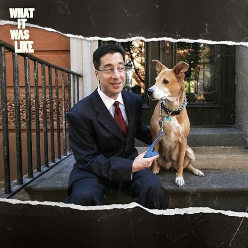 My Terrifying (and Oddly Funny) 25 Hours Kidnapped in New York