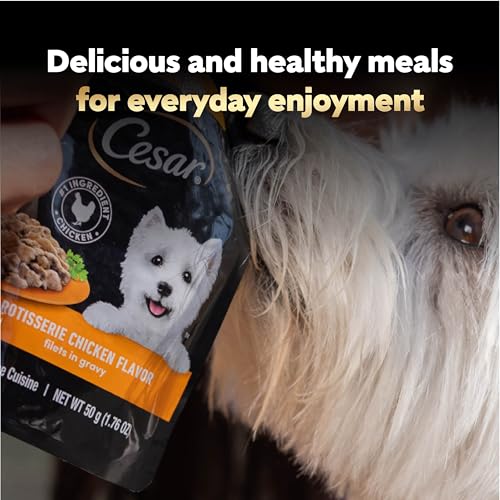 Cesar Mini-Pouch Wet Dog Food, Filet and Chicken, 1.76 oz, 20 Count, 2-Pack | Filet Mignon & Rotisserie Chicken, real chicken or beef, no fillers/artificial flavors, easy peel-and-serve, filets in gravy - image 9