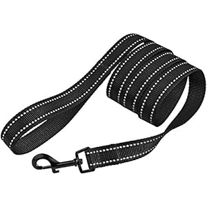 Collardirect Nylon Dog Leash 5ft for Daily Outdoor Walking Running Training Heavy Duty Reflective Pet Leashes for Large Medium  Small Dogs m Black  Cucciolini Doodles Collardirect nylon dog leash 5ft for daily outdoor walking running training heavy duty reflective pet leashes for large medium  small dogs m black   cucciolini doodles