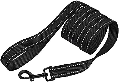 Collardirect Nylon Dog Leash 5ft for Daily Outdoor Walking Running Training Heavy Duty Reflective Pet Leashes for Large Medium  Small Dogs m Black  Cucciolini Doodles Collardirect nylon dog leash 5ft for daily outdoor walking running training heavy duty reflective pet leashes for large medium  small dogs m black   cucciolini doodles