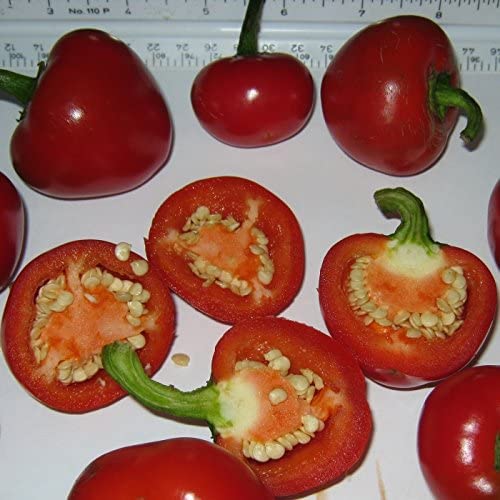 VibeX Organic Red Cherry Bomb Hot Chili Pepper Seeds-300 Seeds (B0B9Y3B9G2) Amazon Price History, Amazon Price Tracker