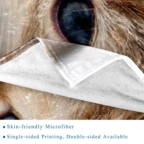 Couverture en microfibre chat charmant, le cadeau idéal chaud et doux