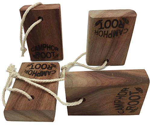 Moth Away Old Cinnamomun Camphora Wood Root Aromatic Blocks 4-piece