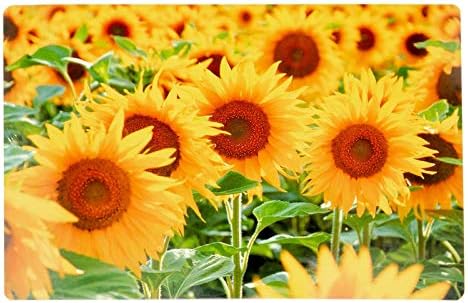 Plastic Placemat (Sunflower Field)-Set of 12
