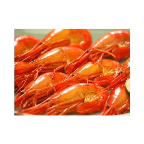 �k�C�V�}�G�r�y��L��z�y�T�C�Y�s�����z �T�O�O���O��