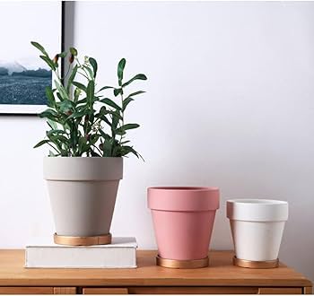 Amazon | 植木鉢 陶器鉢 プランター おしゃれ 受け皿付き 穴付き 耐用 Amazon | 植木鉢 陶器鉢 プランター おしゃれ 受け皿付き 穴付き 耐用