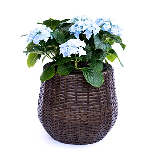 Elegant Einrichten Pflanzkübel Polyrattan D52xH44cm Mocca