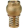 1" BSP Female Check Foot Valve Suction Brass Non Return Valve for Pump