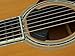 Fishman Fluence Acoustic Spotlight