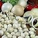 Onion Sets ,White (50-70 bulbs) Garden Vegetable