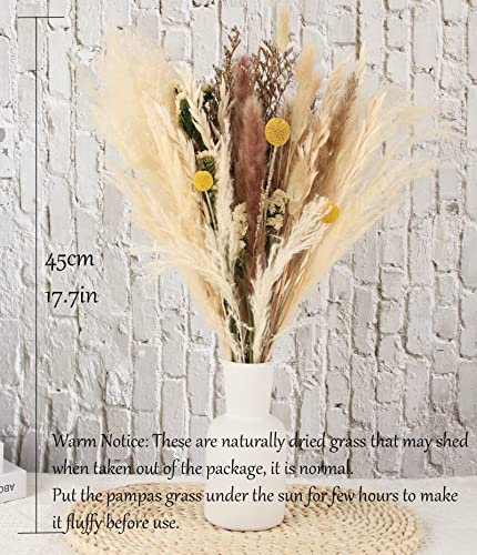 35Pcs Natural Dried Pampas Grass, 17" Tall Pompous Grass Dried Flowers Plant Bouquet Branchea Decor With Reed Grass/Oats/Lagurus Ovatus/Forget Me Not/Sun Ball For Boho Farmhouse Rustic Vase Home Décor #TOP3