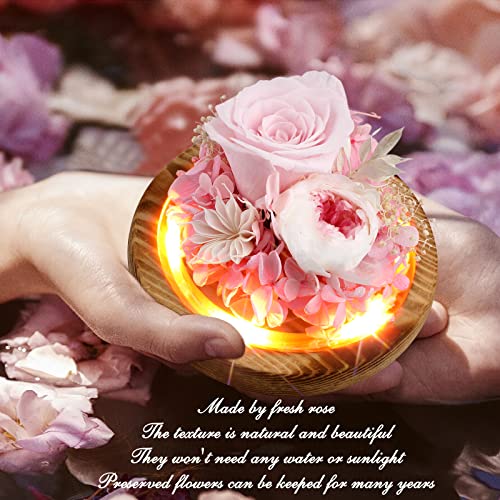 TGELATA Preserved Flower Rose Gift, Light Up Fresh Flowers, Forever Pink Rose in Glass Dome, Birthday Flowers Gifts for Women Mom, Preserved Roses Flowers for Delivery Prime for Mothers Day Christmas
