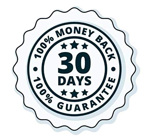 Dinosaur Lanyard Keychain And Badge Id Holder – Durable Black Polyester – Novelty Necklace #TOP3