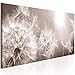 Produktbild decomonkey Bilder Pusteblume 150x50 cm 1 Teilig Leinwandbilder Bild auf Leinwand Vlies Wandbild Kunstdruck Wanddeko Wand Wohnzimmer Wanddekoration Deko Blumen