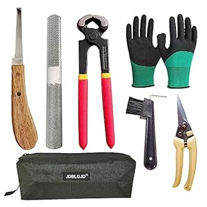 Farrier Tool Kits – 8 inch Professional Farriers Horse Farrier Tools Hoof Nipper Cutter Handle Knife（7 Piece） Mini Rasp Hoof File Goat Pig Equine Metal Shears…