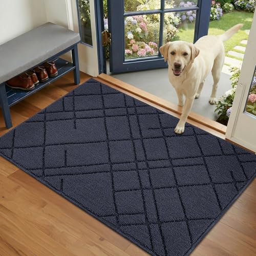 Paillasson interieur entree antidérapant Biscpro tapis entree interieur 60x90cm - 2