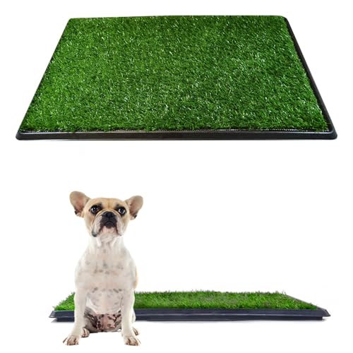 Downtown Pet Supply Dog Grass Pad with Tray, 16 x 20 - Outdoor and Indoor Potty System for Dogs with Replaceable Synthetic Grass Pee Turf - Portable and Waterproof Turf Dog Potty