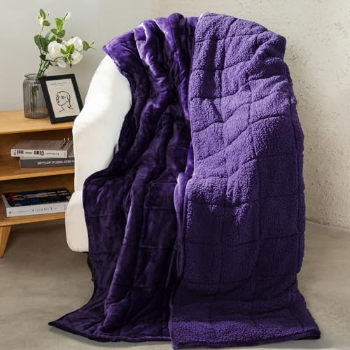 Aemicion Weighted Blanket Queen Size 15lbs,Dual Sided Cozy Fluffy Sherpa Heavy Weighted Blankets for...