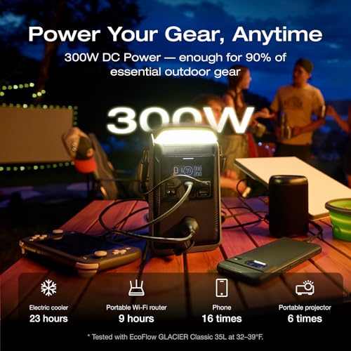 Image of EF ECOFLOW TRAIL Plus 300 DC Portable Power Station, 288Wh Power Bank (80000mAh), 140W USB C Output, Solar Generator, for Outdoor Camping, Travel, and Emergency Power (No AC Outlet Included)