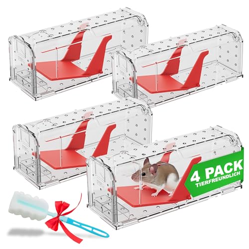 Roshield 4 x Mausefalle Lebend – Humane Lebendfalle für Innen und Außen, effektiv Nagerfalle, Haustier- und kinderfreundlich