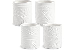 DIY Paint Your Own Pottery Painting Ceramic Succulent Planter Kits for Adults