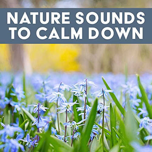 Nature Sounds to Calm Down Peaceful Music, Waves of