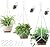Koalaime 2 Pack Hanging Planters Set,10 Inch Indoor Outdoor Hanging Plant Pot Basket,Hanging Flower Pot with Drainage Hole with 3 Hooks for Garden Home…