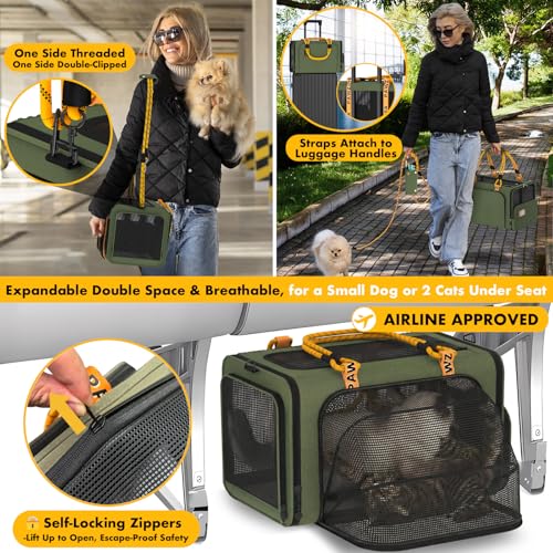 Poussette double pour chat et chien de petite taille pliable