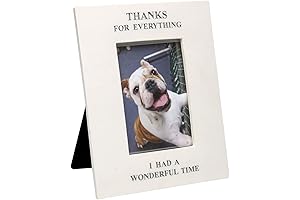 Dog Memorial Frame: Cherish Memories with a Touching Tribute