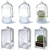 Niuhong 6 Pcs Mini Vasen Schlüsselanhänger Kunststoff Ohne Pflanzen Transparente Miniatur Blumentöpfe Mit Lanyard Dekorative Pflanzgefäße Flaschengarten DIY Blumentopf Kaktus Sukkulenten Zubehör (A)