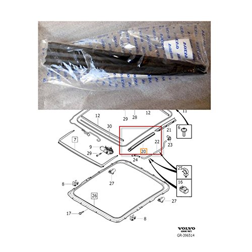 Amazon.com: Genuine Volvo 31352860, Left Sunroof Modesty Panel 
