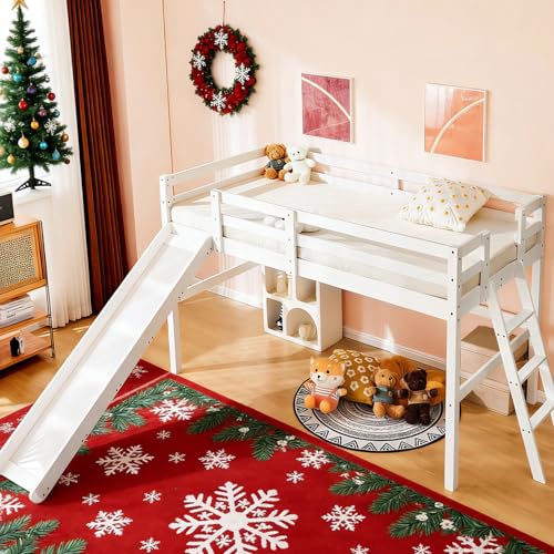 Loft Bed with Slide