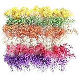 120 Pcs Mini Dried Baby Breath Flowers Gypsophila Ivory Mixed Color Flowers Dried Flowers for Vase Wedding Home Office Party Garden Card Making Decor Wreath Floral Craft DIY Art (Mixed Colors)