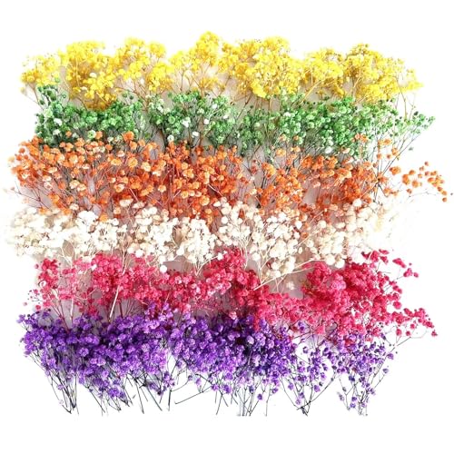 120 Pcs Mini Dried Baby Breath Flowers Gypsophila Ivory Mixed Color Flowers Dried Flowers for Vase Wedding Home Office Party Garden Card Making Decor Wreath Floral Craft DIY Art (Mixed Colors)