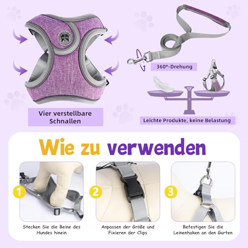 3 Stück Hundegeschirr und Leine Set, Verstellbares Brustgeschirr, Reflektierendes atmungsaktives Hundegeschirr mit D-Ring, Hundegeschirrs Set für Welpen, Kleine Hunde