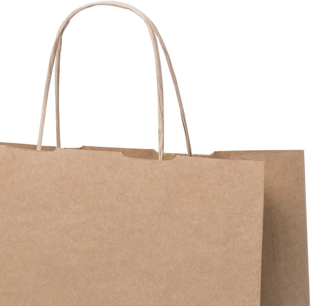 Bolsas de papel biodegradables con asas pack de 100 bolsas kraft grandes para comercio 6