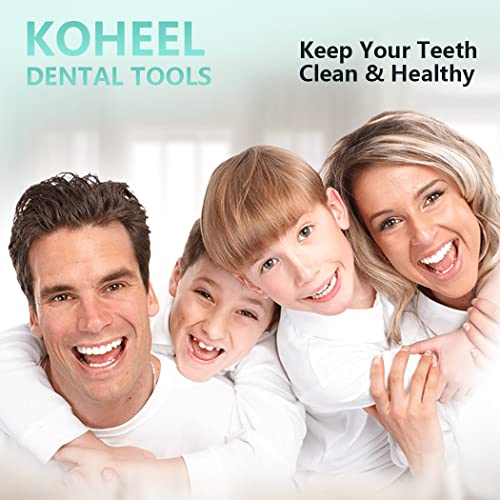 KOHEEL Toothpicks Pocket Set, Reusable Dental Floss Picks Kit, Stainless Steel Teeth Cleaning Tools, Tooth Picker, Oral Hygiene Kit with Holder (7 Count)