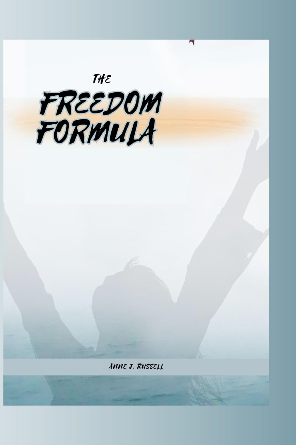 THE FREEDOM FORMULA: Release What You Can’t Control, Build Unbreakable Habits, and Create Emotional Freedom