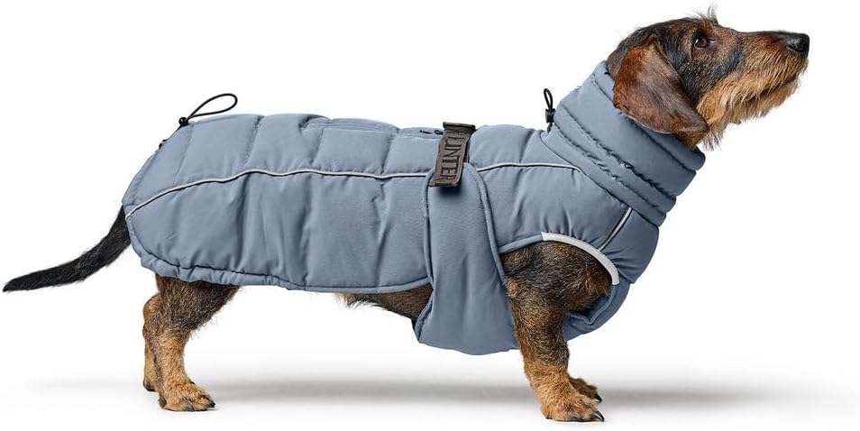 Paxson Dachshund Dog Coat Caramel Size 45